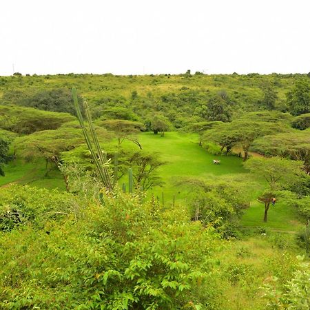Masai Lodge 奈洛比 外观 照片