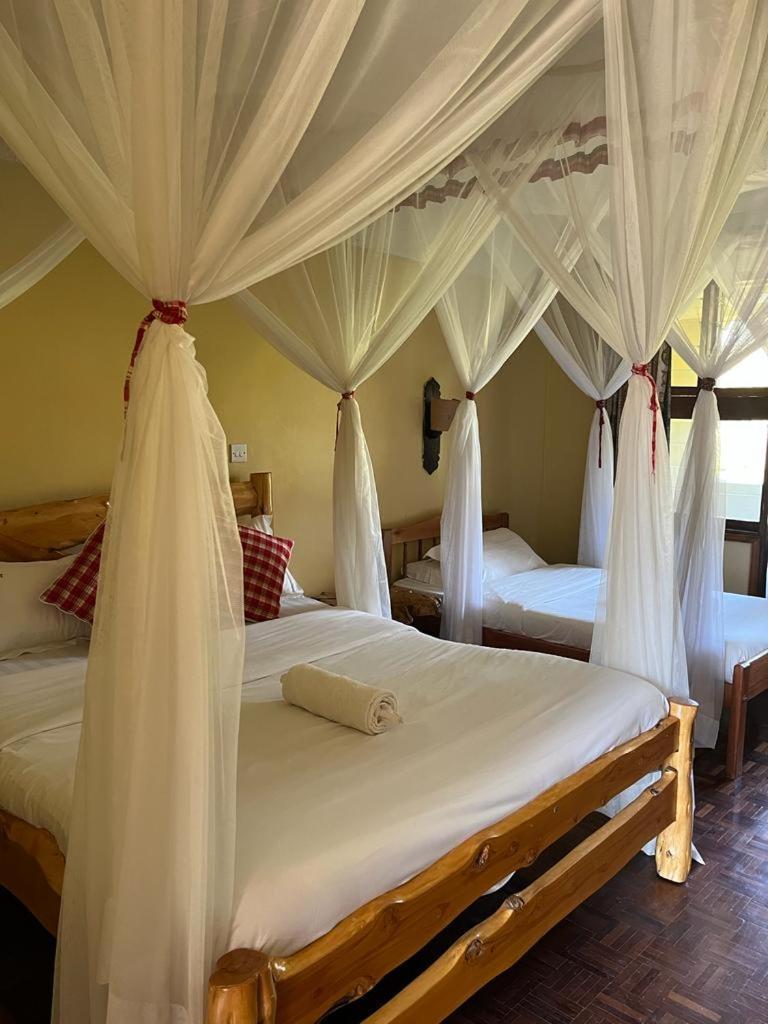 Masai Lodge 奈洛比 外观 照片