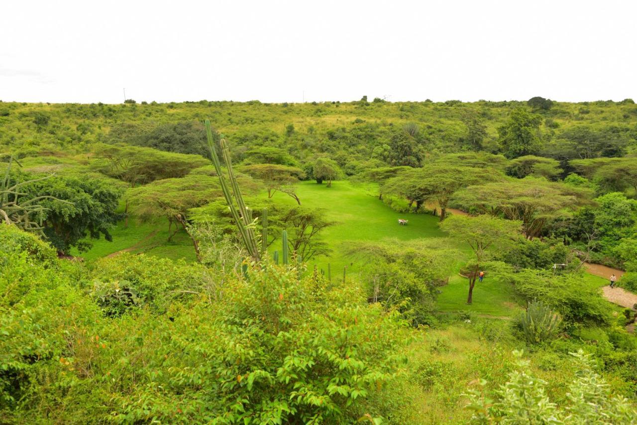 Masai Lodge 奈洛比 外观 照片